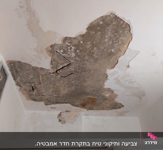 תקרה מתקלפת עם סימני רטיבות ושכבת צבע מתקלפת